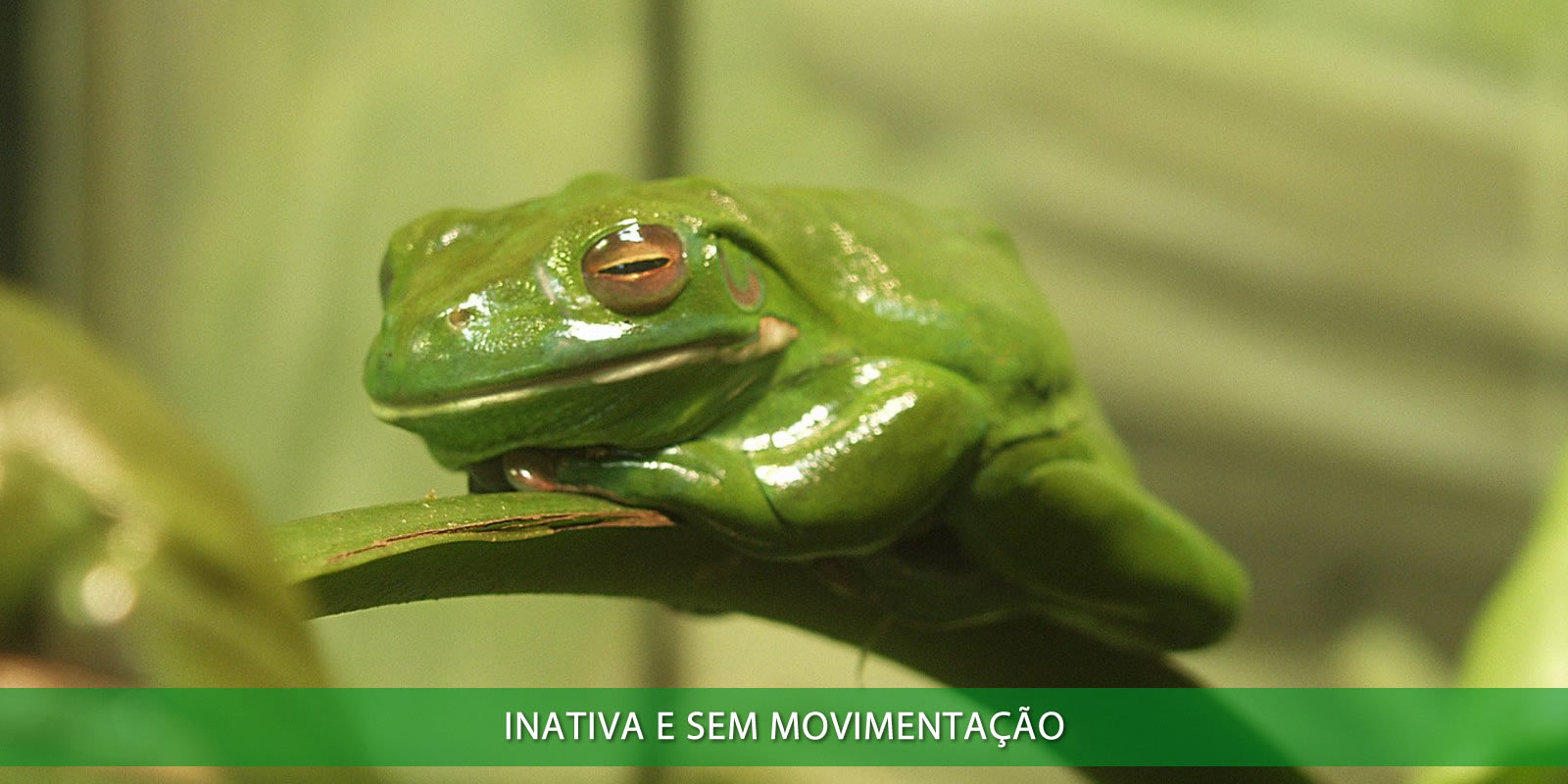 Figura 3 - TER UMA EMPRESA INATIVA É UM PROBLEMÃO QUE VOCÊ NÃO PRECISA CARREGAR